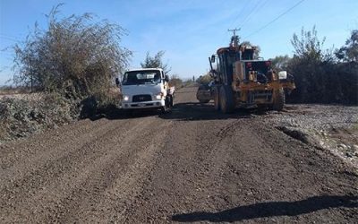 ADMINISTRACIÓN DIRECTA DE VIALIDAD DEL MAULE INTERVIENE CAMINO LA EMPRESA EN LINARES
