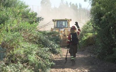 Autoridades supervisan obras de limpieza y cortafuegos en Peñaflor
