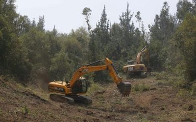 MAS DE 217 KILÓMETROS DE CORTAFUEGO EN 40 DISTINTAS ZONAS DEL PAÍS, HA REALIZADO HASTA AHORA EL MINISTERIO DE OBRAS PÚBLICAS PARA EVITAR EL AVANCE DEL FUEGO