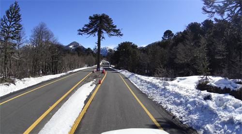 nievee