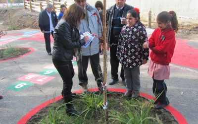 Niños de la Escuela Elisa Ruiz Tagle adoptan árboles plantados en sector del puente San Enrique