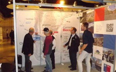Destacan apertura del Paso Internacional Pehuenche en ExpoAndes 2015