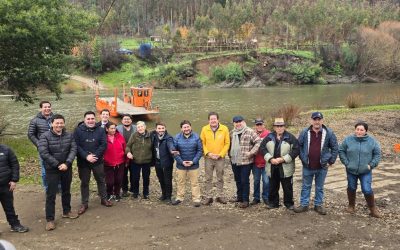 Vialidad de La Araucanía licitará construcción de pasarela vehicular que reemplazará balsa Rapanilahue