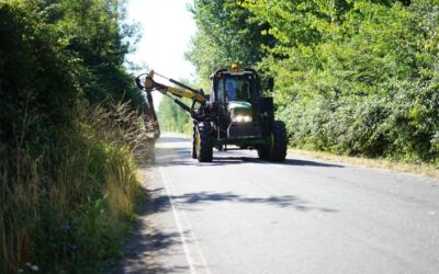 CONAF y Vialidad del Maule avanzan en la limpieza de caminos rurales para prevenir incendios forestales