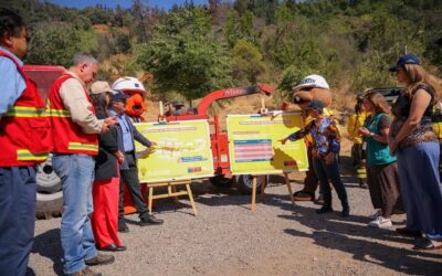 Gobierno despliega histórico plan de casi 5 mil kilómetros de cortafuegos para prevenir incendios forestales