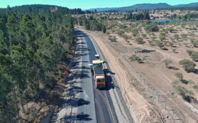 Vialidad avanza en plan de reforestación asociado a proyecto de ruta J-80 en la Región del Maule