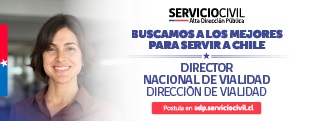 Banner ADP Director de Vialidad